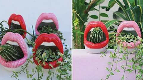 You Can Get Lip Planters For Your Succulents and They Are Adorable