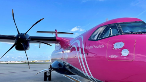 Pink Airplanes Exist and Now You Can Fly In Style 