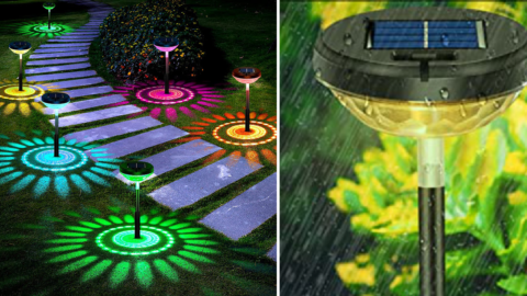These Solar Powered Outdoor Lights Change Colors And Project A Sunflower In Your Yard