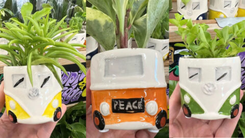 Trader Joes Is Selling $6 Mini VW Bus Planters and I Want Them All