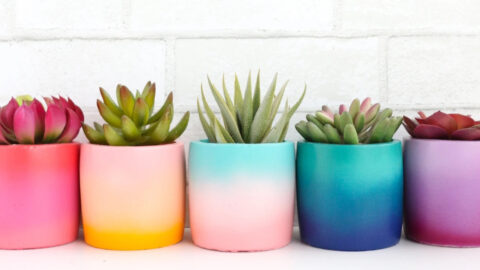 These Colorful Gradient Planters Are The Pop Of Color You Need