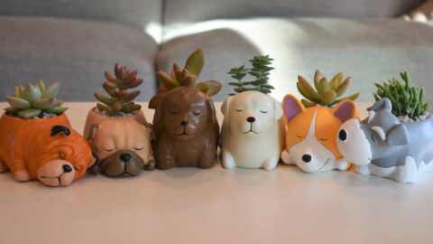 These Dog Succulent Pots Are Perfect For The Dog Lover In Your Life