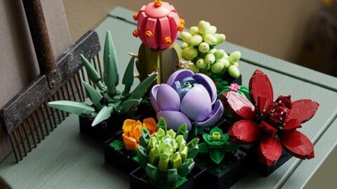 You Can Now Get LEGO Succulent and Orchid Building Kits And I Need Them in My Life