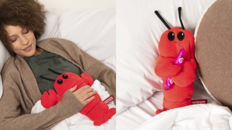 This Menstruation Crustacean Heating Pad Is The Cutest Way to Soothe Cramps