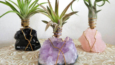 You Can Get Crystal Air Plant Holders That Bring an Entire Vibe into Your Home