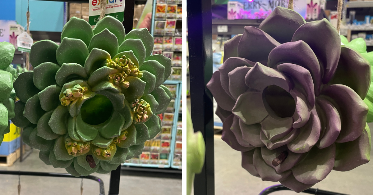 Lowe’s Is Selling $20 Succulent Birdhouses You Can Hang in Your Yard