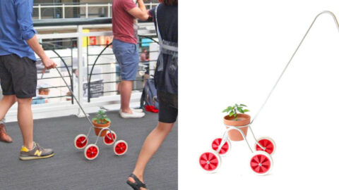 There’s A Stroller For Your Plants So You Can Go on Plant Walks