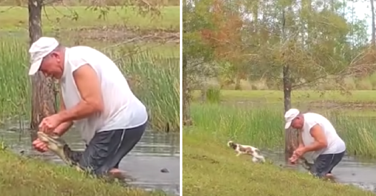 This Man Jumped Into A Pond To Rescue His Puppy From An Alligator And He’s A Hero