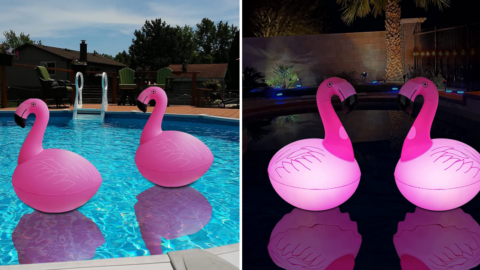 These Solar Powered Flamingo Pool Floats Are Here to Flock Your Way to Summer