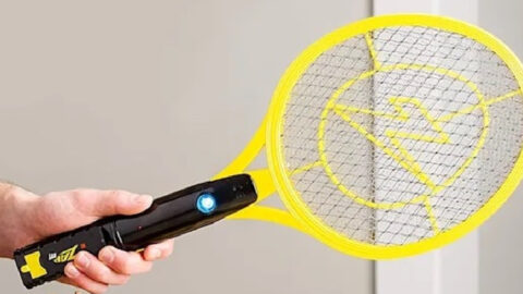 People Are Obsessed with This Electric Bug Zapper That Gets Rid of Those Pesky Bugs