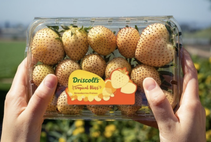 Tropical Bliss Strawberries Exist and They Taste Exactly Like Tropical Punch