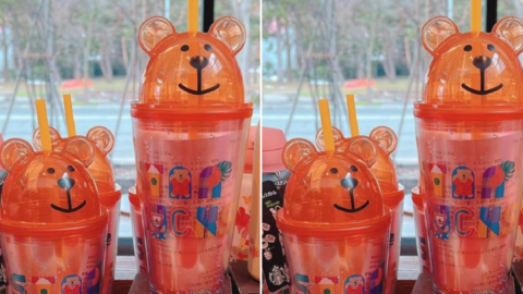 This New Tumbler from Starbucks Is Beary Cute and I Want One