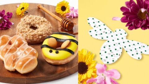 Krispy Kreme Releases Honey Doughnuts and Will Give You Free Flower Seeds to Save The Bees with Purchase