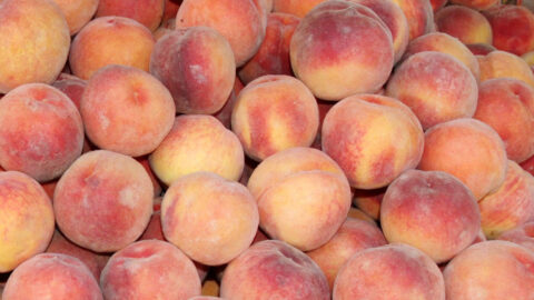 Peaches Have Been Recalled. Here’s What We Know.