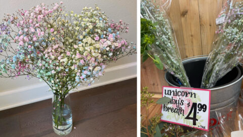 Trader Joe’s Is Selling $5 Unicorn Baby’s Breath and It Is Pure Magic