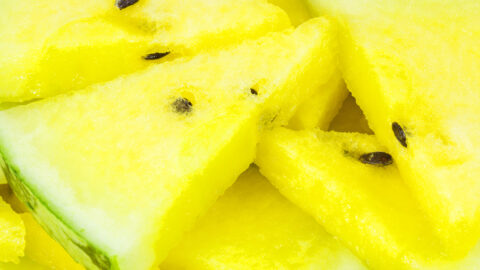 Gold Watermelons Exist and They Have Notes of Honey and Apricot