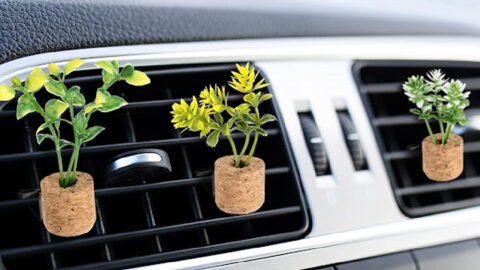 These Little Succulent Plants Are Air Fresheners For Your Car That Attach Right To Your Vents