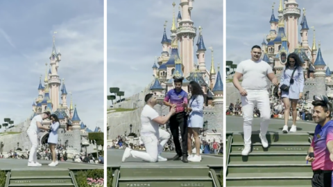 Disneyland Apologizes After Disney Cast Member Ruined A Romantic Proposal In Front Of The Castle