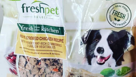 Freshpet Dog Food Has Been Recalled. Here’s What You Need To Know.