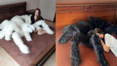 You Can Get A Giant Spider Pillow That is Perfect for Cuddling