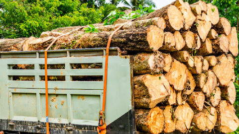 Lumber Prices Are Tanking As Housing Prices Are Skyrocketing And Honestly, I Just Want A Bigger House