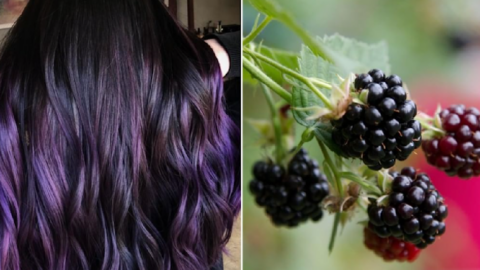 Blackberry Hair Is The Gorgeous New Trend And I’m Jumping On Board