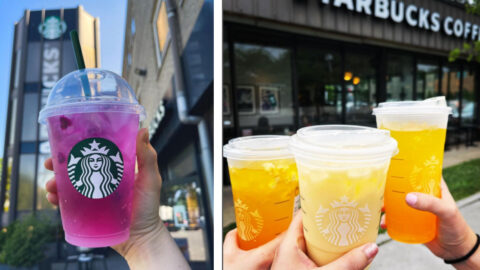 Tuesday is 50% off Iced Drinks at Starbucks