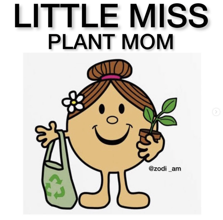 Here's How You Make Those Little Miss Memes Everyone is Posting Right Now
