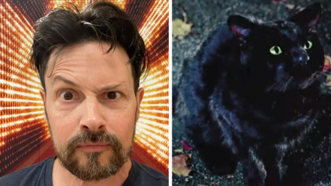 The Original Voice Actor Of Binx The Cat Will Not Be Returning For ‘Hocus Pocus 2’