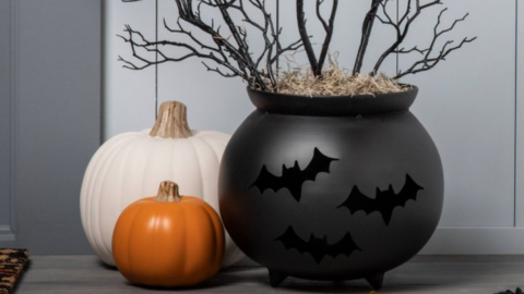 Target Is Selling A Black Metal Cauldron Planter You Can Put on Your Porch For Fall