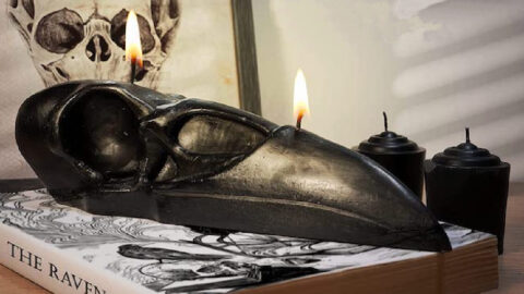You Can Get A Black Raven Skull Candle To Give Your Home All The Spooky Halloween Vibes This Year