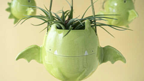 This Ceramic Flying Dragon Succulent Holder Is the Cutest Way to Decorate for Halloween