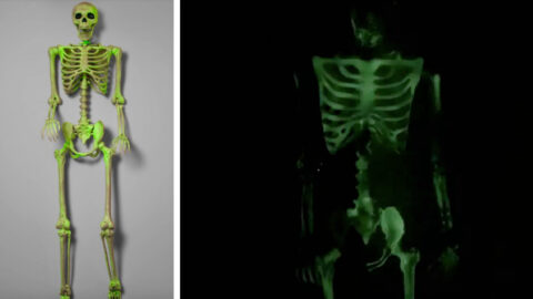 Target is Selling A $40 Glow-In-The-Dark Skeleton To Start Your Halloween Season Off Right