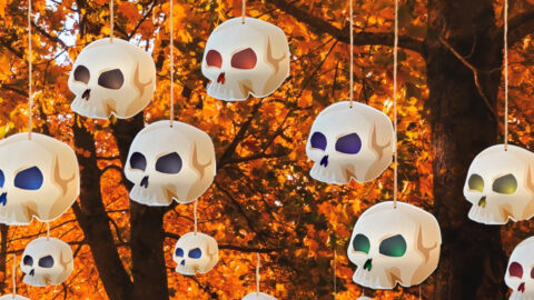Forget Floating Witch Hats, Hanging Skulls Are the New Trend this Halloween Season