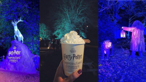A Harry Potter Forbidden Forest Experience is Coming Just in Time for Halloween