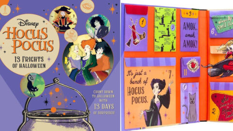 This ‘Hocus Pocus’ Advent Calendar Is The Perfect Way To Countdown to Halloween
