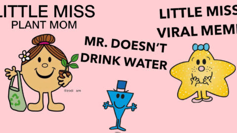 Here’s How You Make Those Little Miss Memes Everyone is Posting Right Now