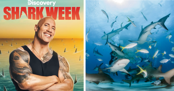 Dwayne Johnson Is Hosting This Year’s Shark Week And We Are So There