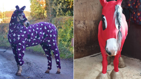 Horse Onesies Are A Thing And I Think I Love Them