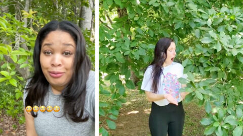 People on TikTok are Asking Trees to Touch Their Shoulder and Now I’m Convinced Trees Can Hear Us