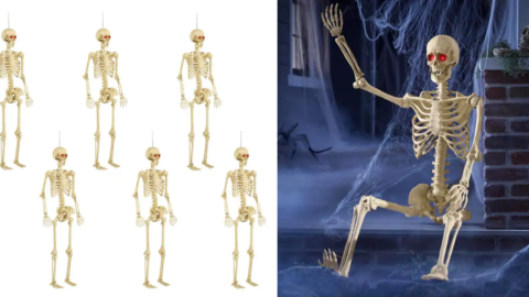 Home Depot is Selling A 6-Pack of 5-Foot Skeletons So You Can Go All Out for Halloween