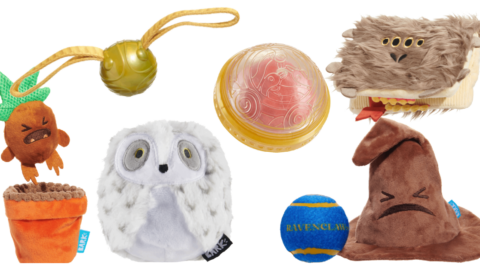 You Can Get A Box filled With Harry Potter Dog Toys Including A Golden Snitch Ball