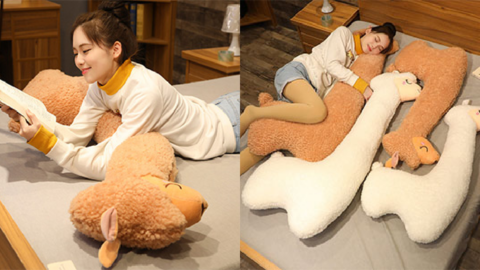 This Alpaca Body Pillow is The Only Way I’ll Sleep Now