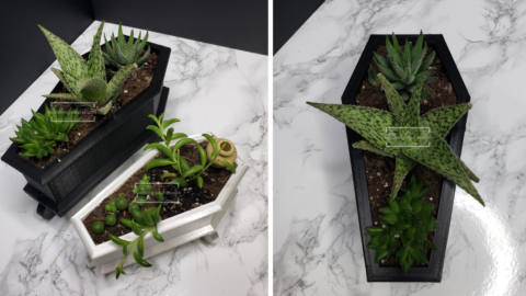 These Coffin Planters Are The Perfect Way to Showcase Your Plants for Spooky Season