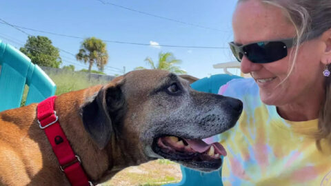This Dog Struggled With ‘Stranger Danger’ But After 8 Years In A Shelter, He Found His Fur-Ever Home