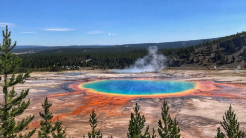 A Shoe With A Partial Foot Inside Was Found In A Yellowstone Hot Spring