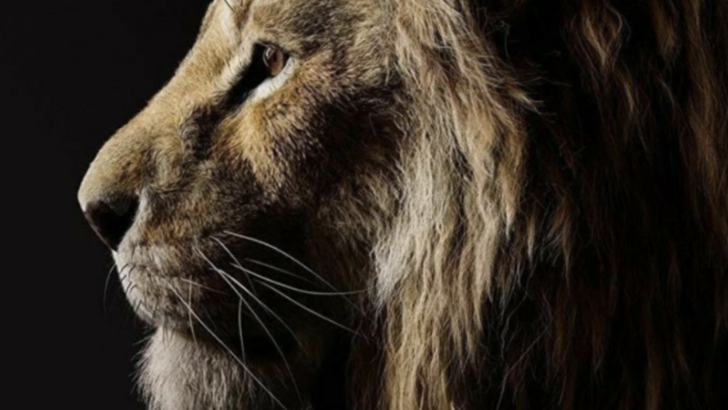 A Live-Action Lion King Sequel Is Set To Hit Theaters And Hakuna Matata