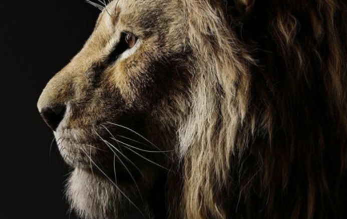 A Live-Action Lion King Sequel Is Set To Hit Theaters And Hakuna Matata