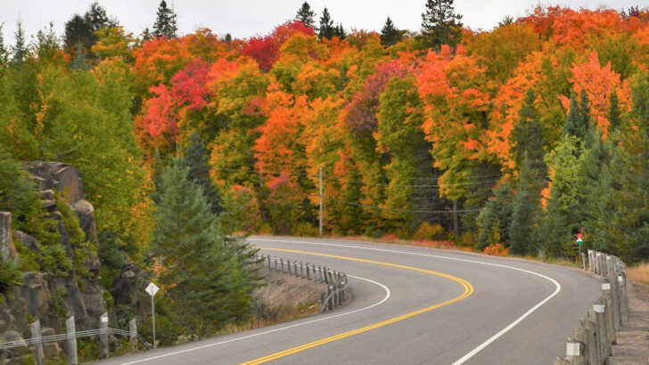 Here Are Several States to Visit To Get Your Fall Foliage Fix