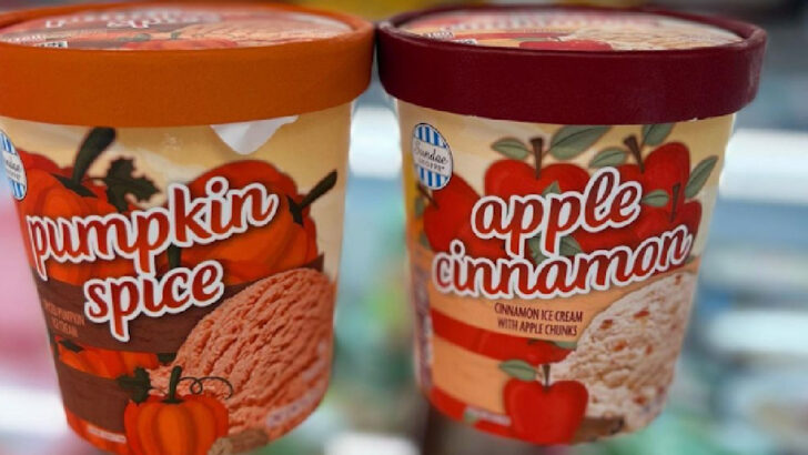 Aldi is Selling Limited Edition Fall Ice Cream In Pumpkin Spice And Apple Cinnamon and I’m On My Way
